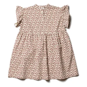 Dress Frill Sleeve Ecru Acer
