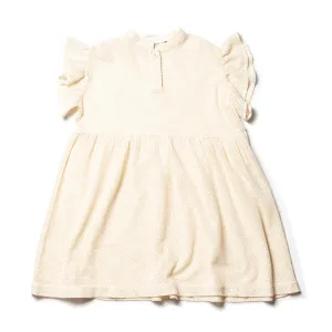 Dress Frill Sleeve Ecru Lace