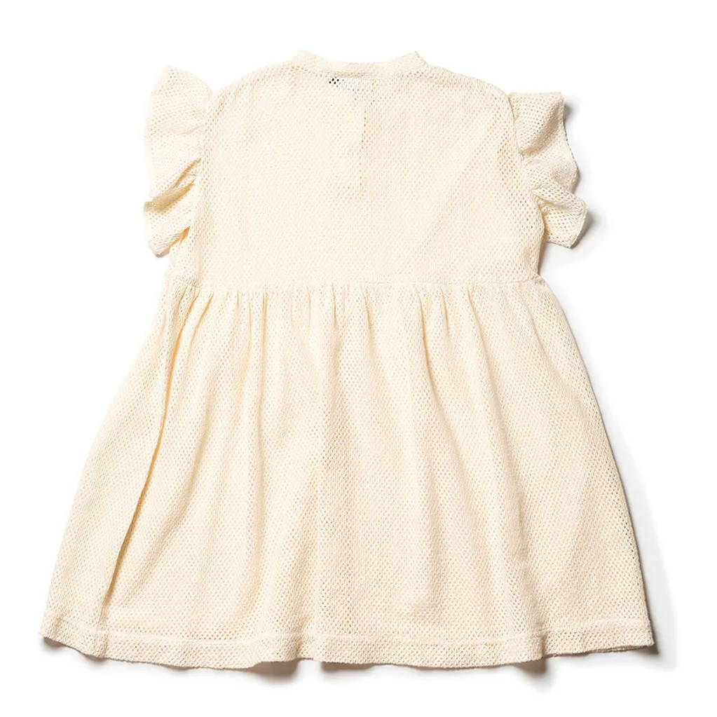 Dress Frill Sleeve Ecru Lace